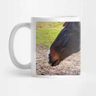 Portrait of a beautiful horse Mug